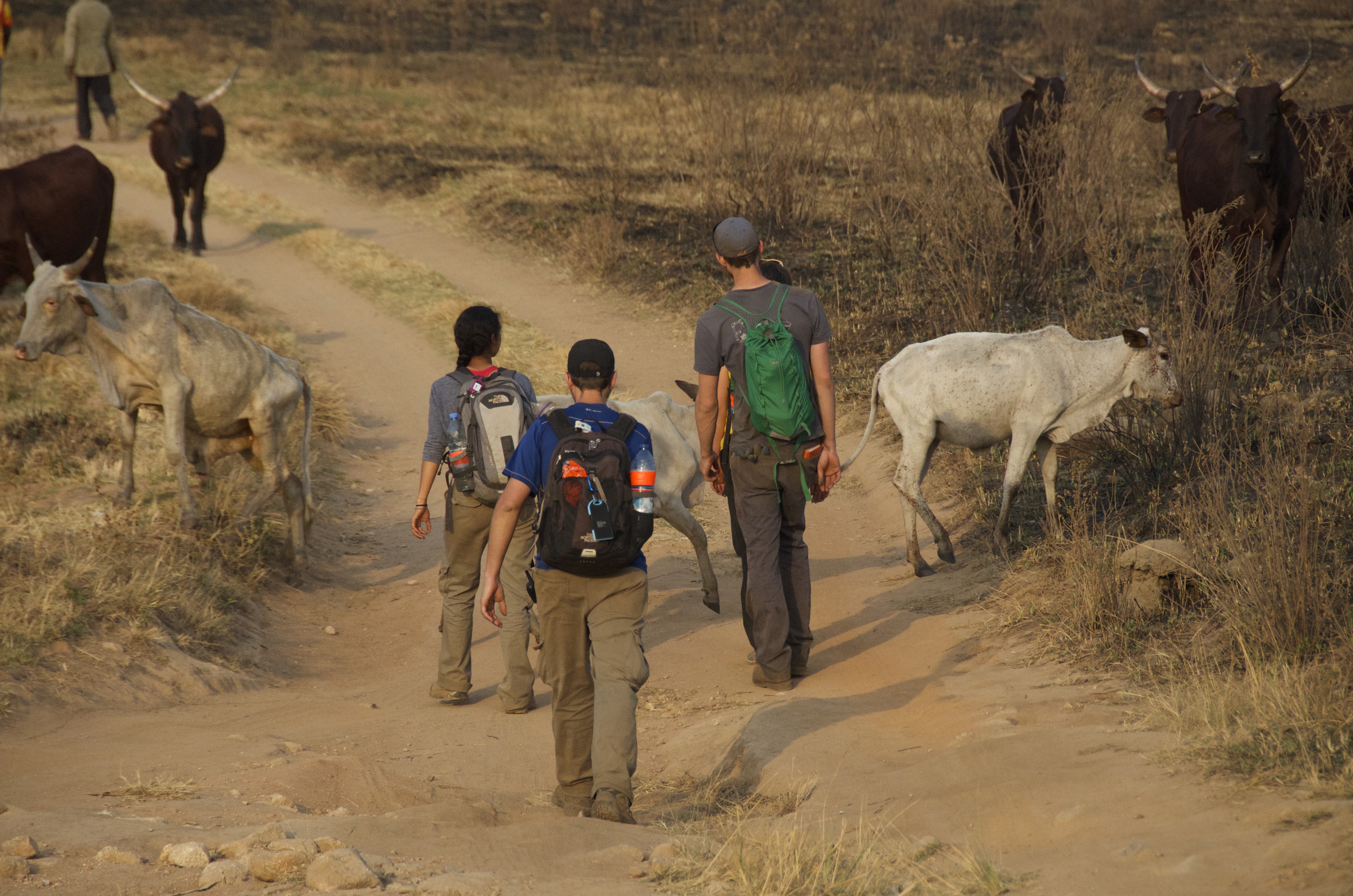 Walking down the road in Mbokop