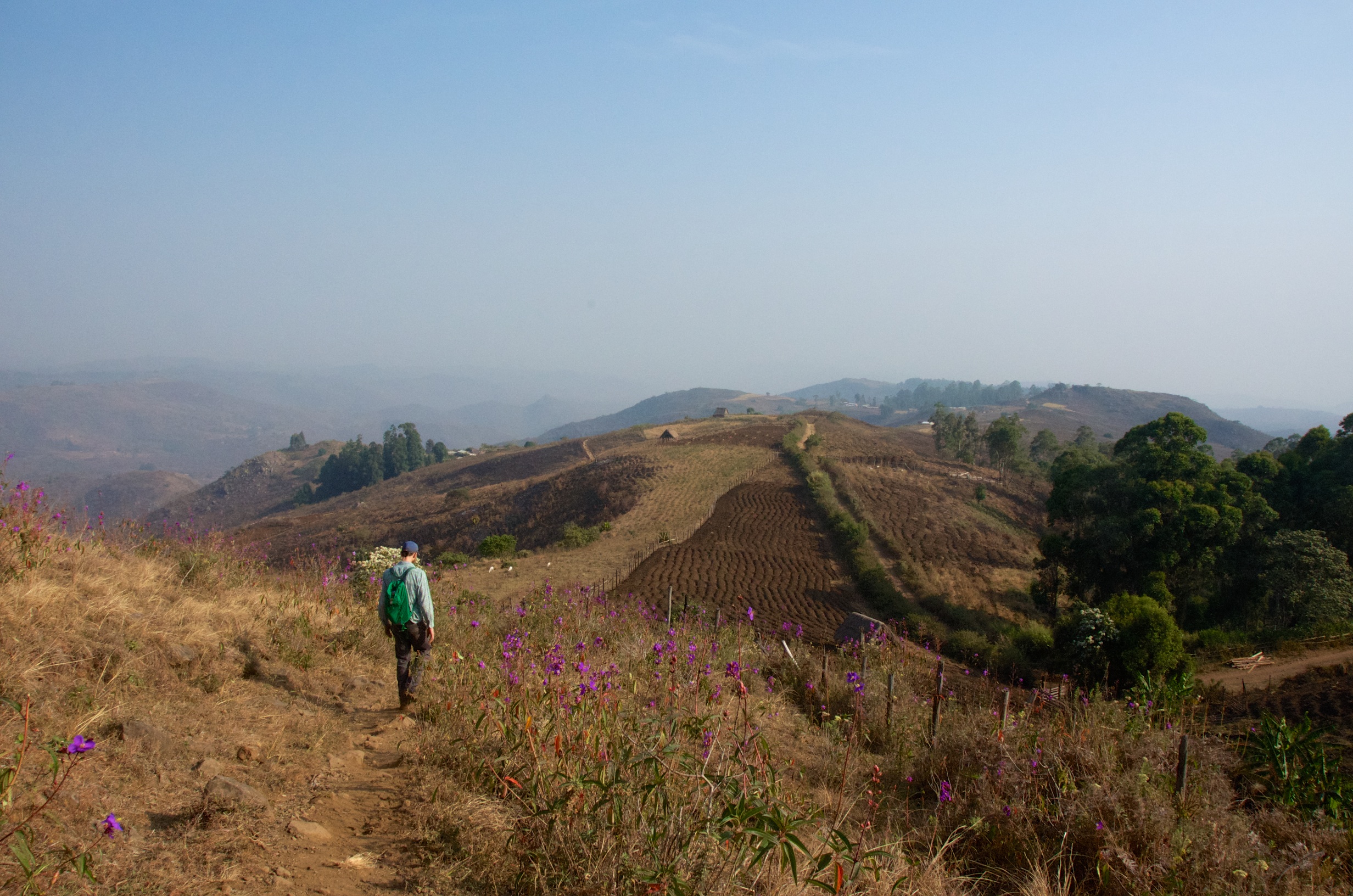 Until we return... (This is the pipeline route, roughly, with Mangi in the distance and the spring source not far behind the camera.)