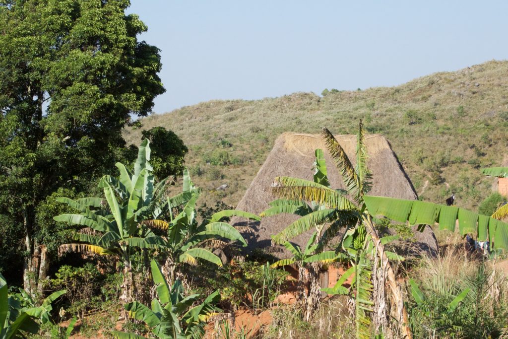 Now's your chance to try a traditional Cameroonian dish!